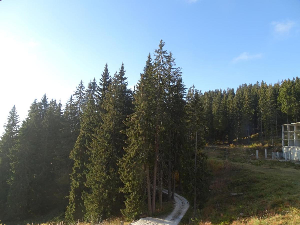 Apartment Darsi Pamporovo Kültér fotó