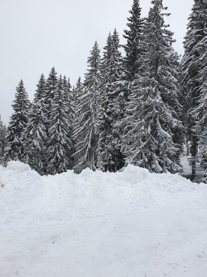 Apartment Darsi Pamporovo Kültér fotó